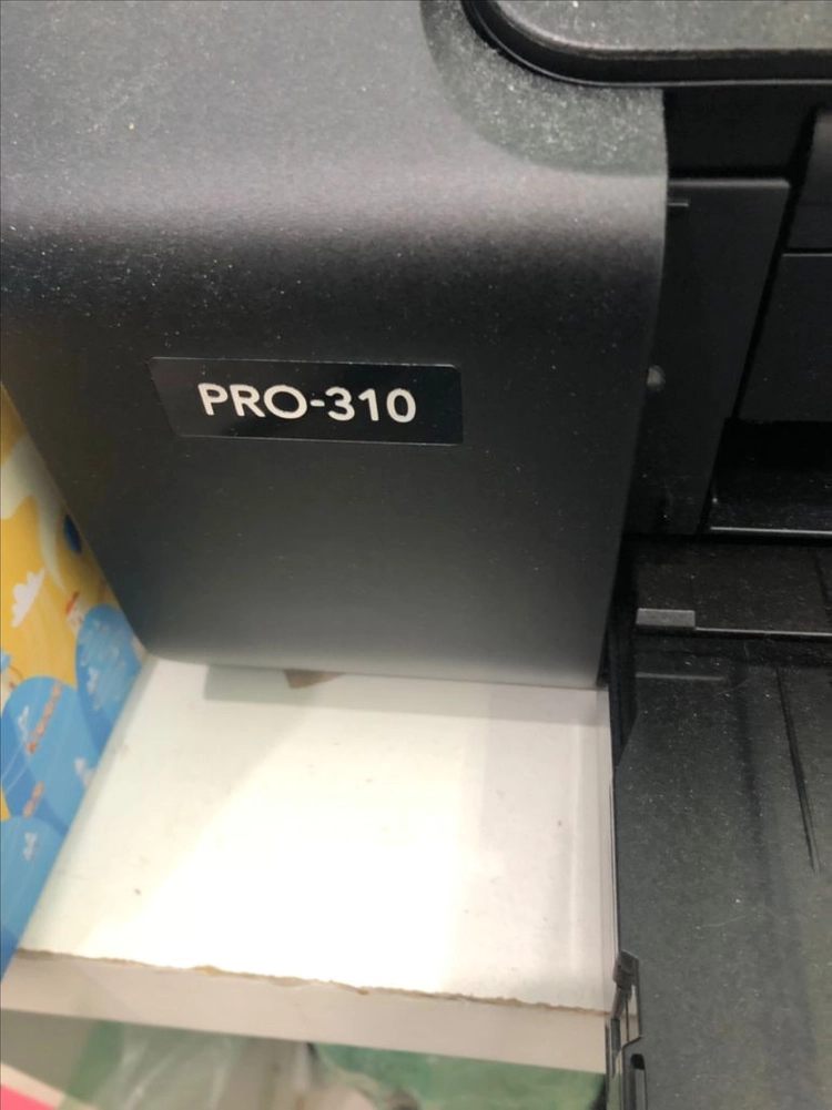 캐논 pro-310 포토프린터 이미지