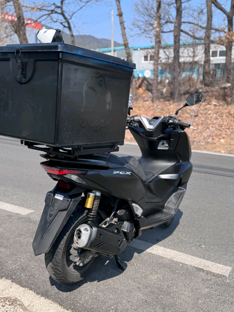 PCX 25년식 3만 올정비--4