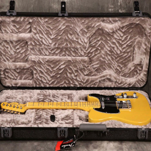 펜더 아메리칸 프로페셔널2 텔레캐스터 일렉기타 버터스카치 블론드 이미지