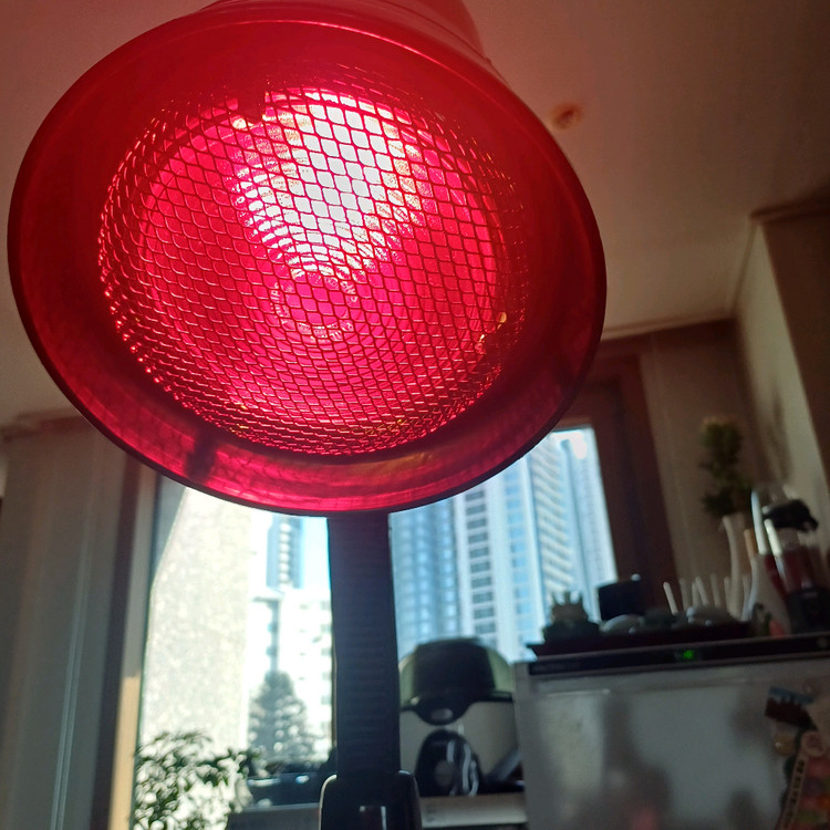 휴먼닥터큐 적외선 치료기 OR-150--3