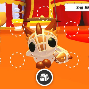 입양하세요 와플 드래곤 이미지