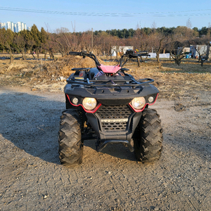 ATV 린하이 M150cc 사륜바이크
