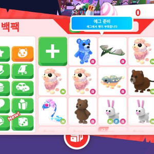 입양하세요 펫 팝니다 이미지