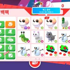 입양하세요 펫 팝니다 이미지