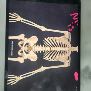 애플 아이패드 에어3 부품용