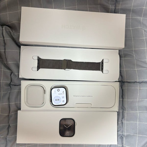 애플워치10 46 티타늄 내츄럴 밀레니즈루프 애케플 판매 이미지