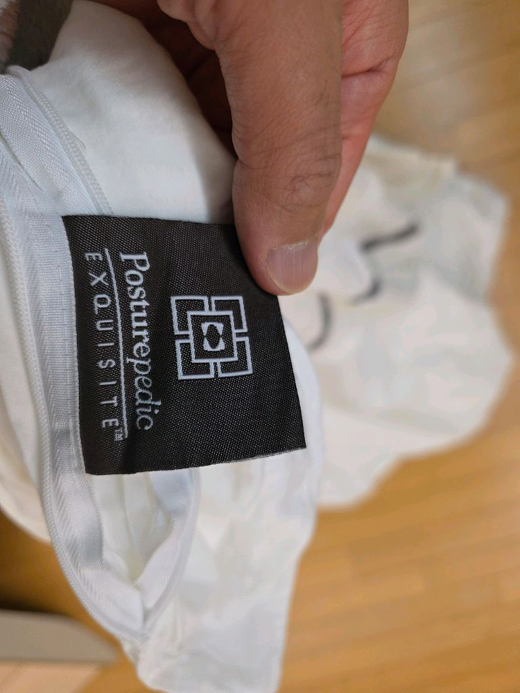 Sealy 씰리 헝가리 구스 이불 킹사이즈 (커버포함) 이미지