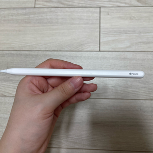 정품 ) 애플 펜슬 2세대