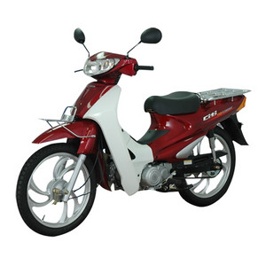 씨티 에이스 110V