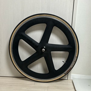 노토리우스 카본 오발이