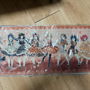 러브라이브 선샤인 장패드 이미지