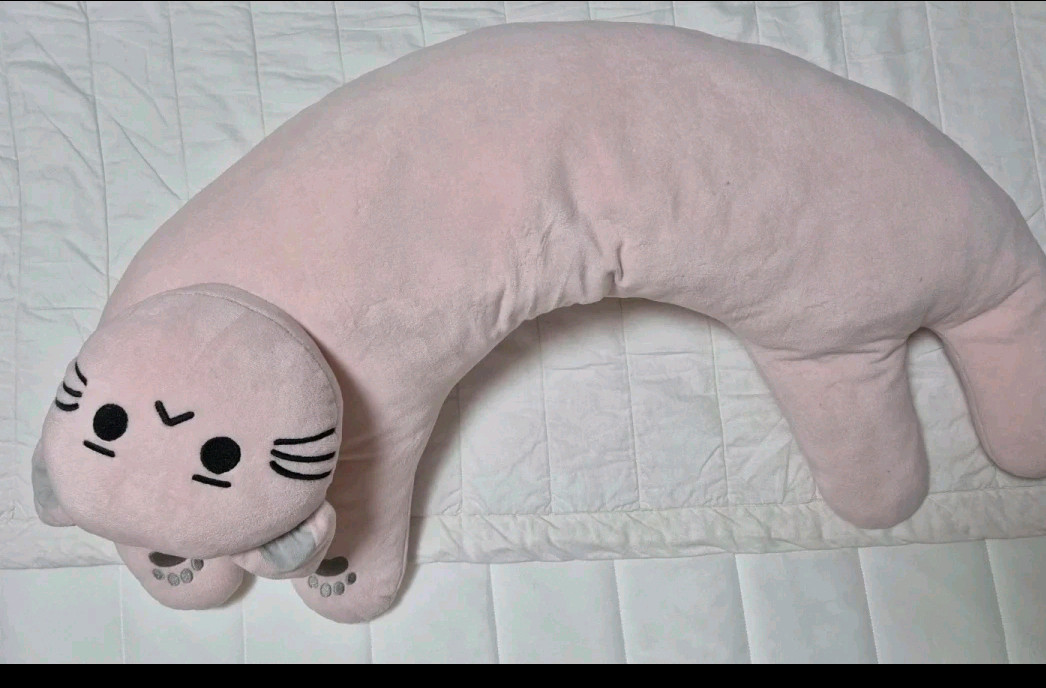 극세사이불(퀸사이즈)외 전부--5