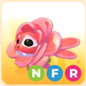 입양하세요 NFR 로즈 드래곤 (네로즈) 이미지