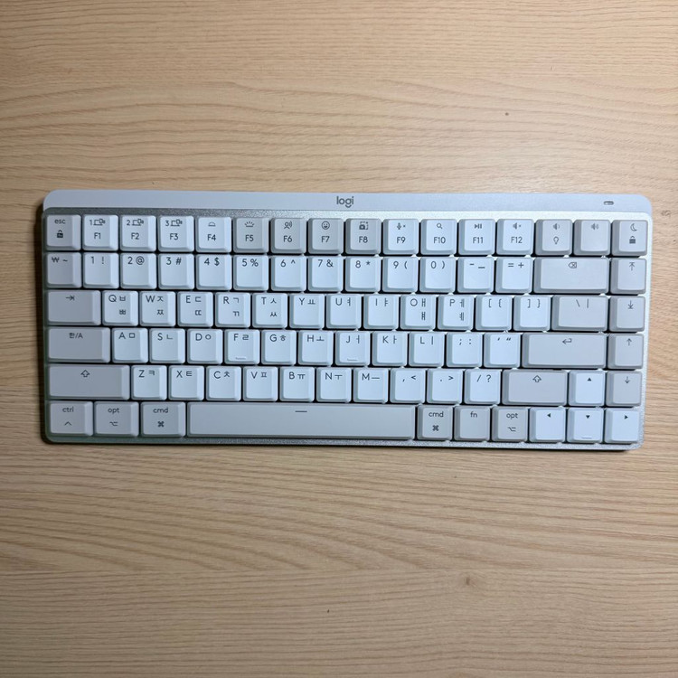 로지텍 Mx mechanical mini for mac 이미지