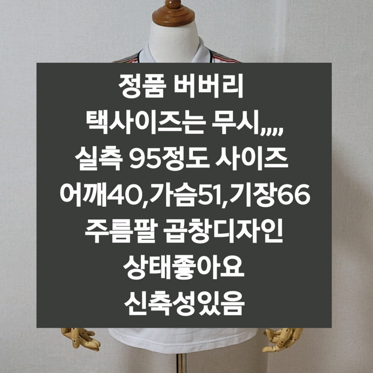 버버리 반팔티셔츠 이미지