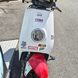 niu gts 전기스쿠터 판매