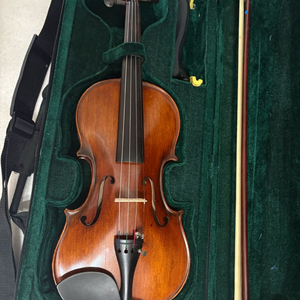 카이저 김진권 바이올린 3/4 이미지