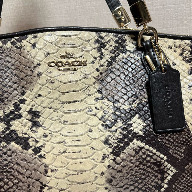 코치 뱀피 숄더백 크로스백 이미지