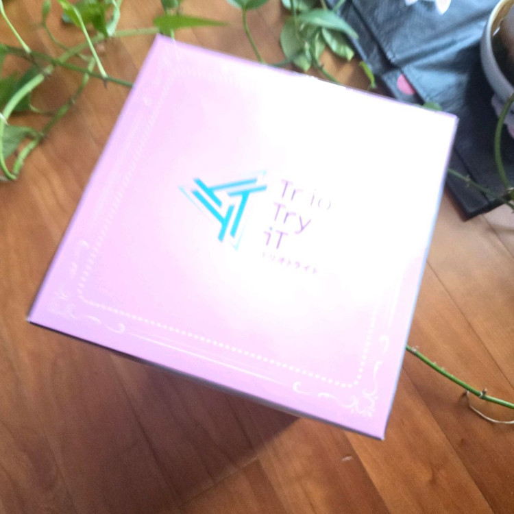 슈퍼 소니코 윈터 메모리 피규어- New 이미지