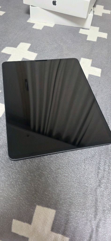 아이패드프로 12.9.4세대 256기가 94프로--9