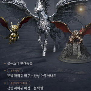 검은사막 특전 코드 팔아요 이미지