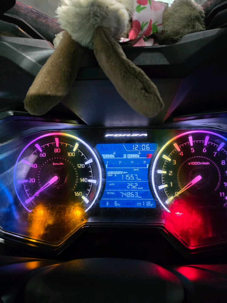 [판매] 23년식 포르자 350 | 아크라 정품 구변완료 | 가성비 급매--5