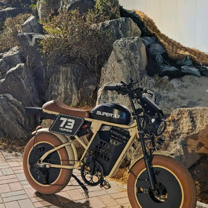 슈퍼73스타일 전기자전거 자토바이 풀튜닝 48v500w25ah 이미지