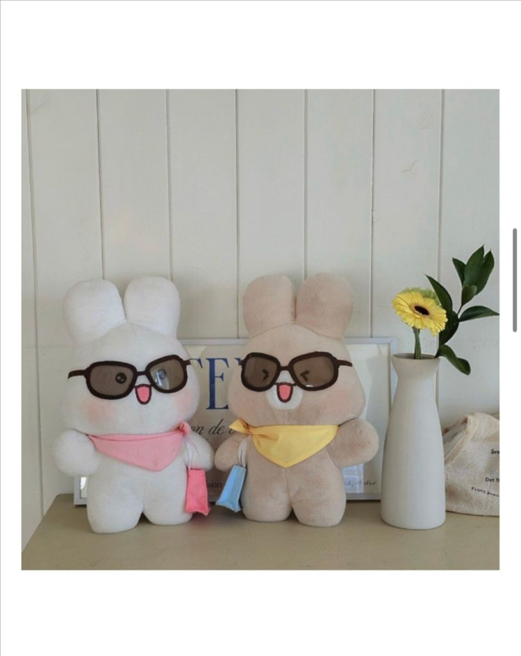 (새상품) 슈야토야 중형인형 쇼핑데이 쇼핑가자 브라운30cm 이미지
