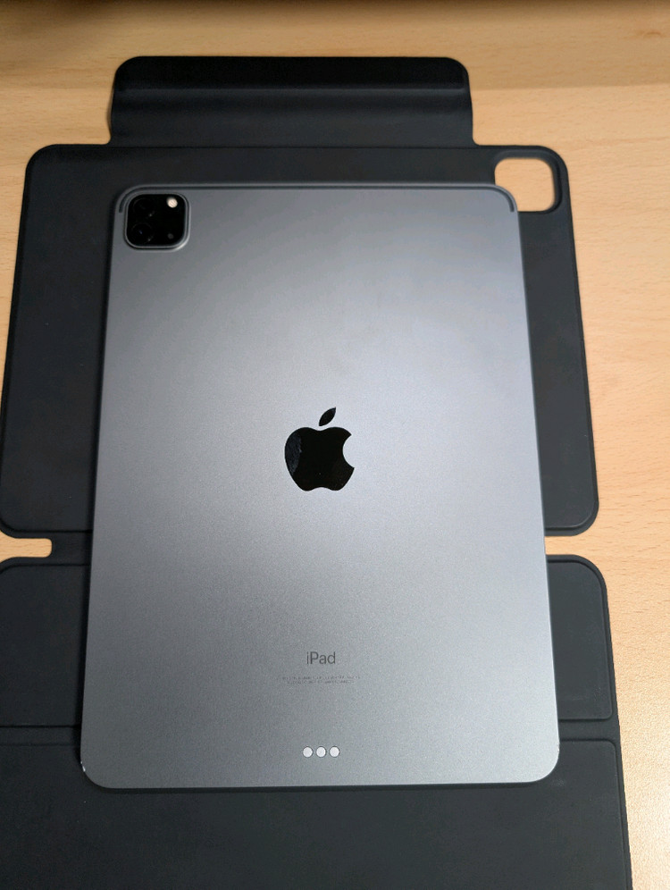 아이패드 프로 11 3세대 (M1) + 애플펜슬 2세대--1