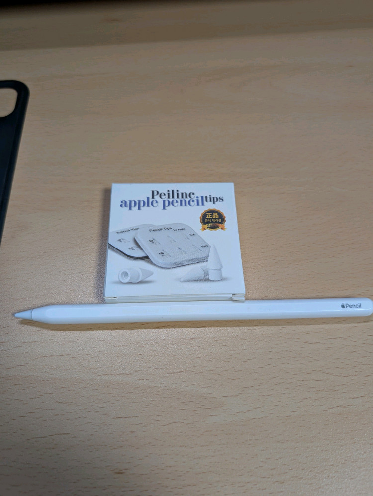 아이패드 프로 11 3세대 (M1) + 애플펜슬 2세대--7