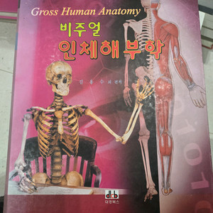 대경북스) 비주얼 인체해부학