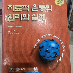 대한미디어) 치료적 운동의 원리와 실제