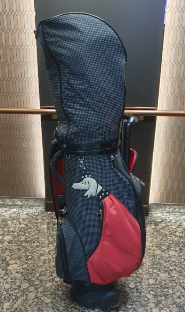 여성 미즈노 제퍼 아이언 골프백포함 골프채 풀세트 팝니다--7