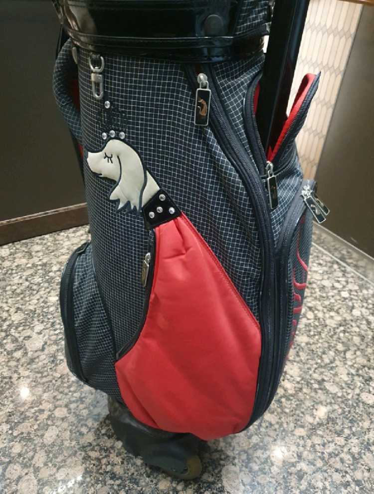 여성 미즈노 제퍼 아이언 골프백포함 골프채 풀세트 팝니다--8