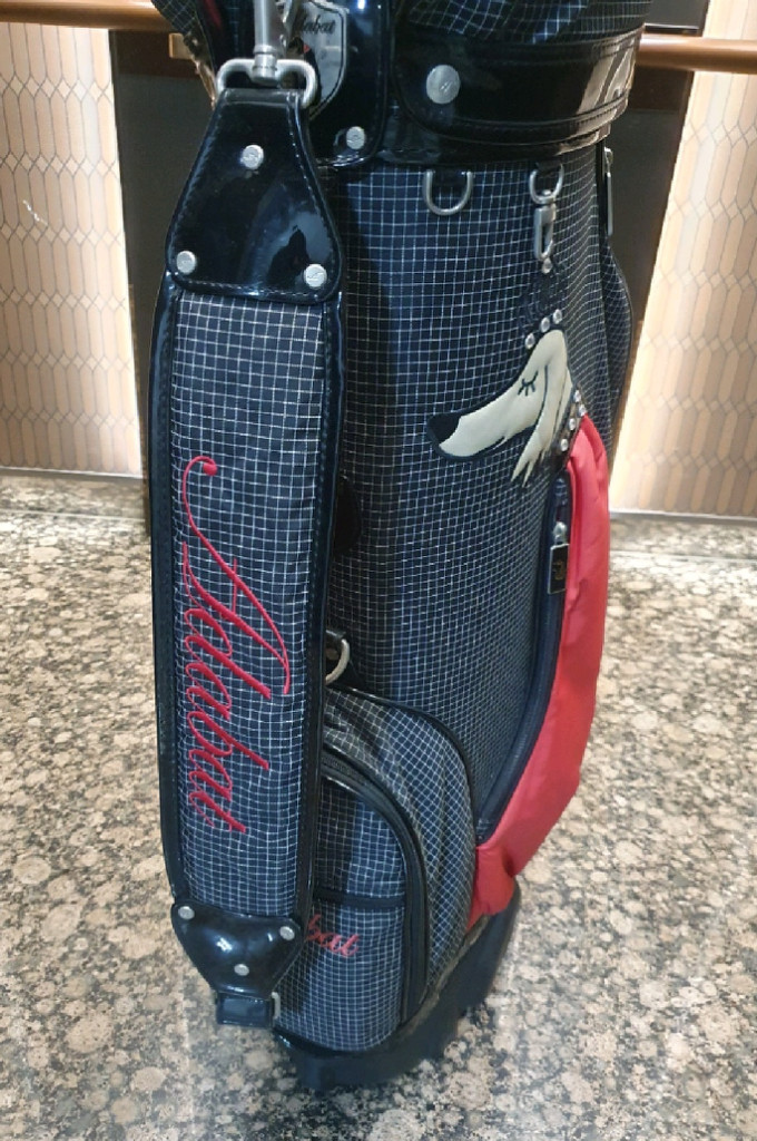 여성 미즈노 제퍼 아이언 골프백포함 골프채 풀세트 팝니다--9