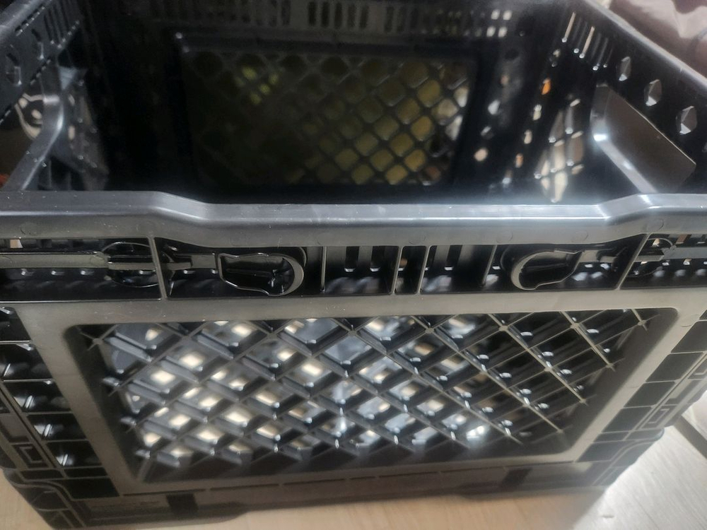 슈트트가르트 스포츠카 폴딩박스--1