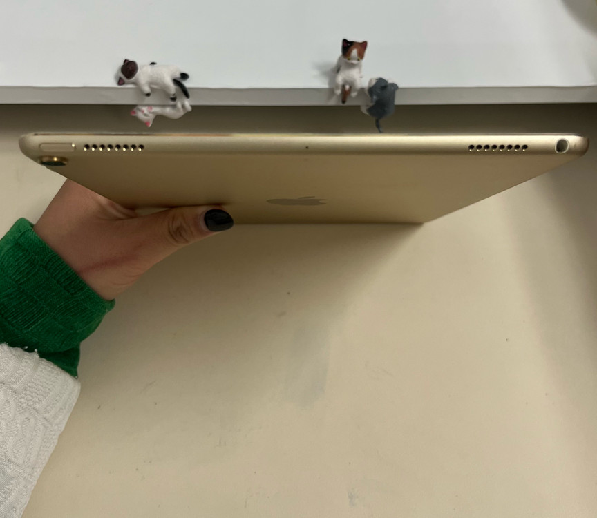 아이패드프로 10.5 64G 골드 WIFI A급!--2