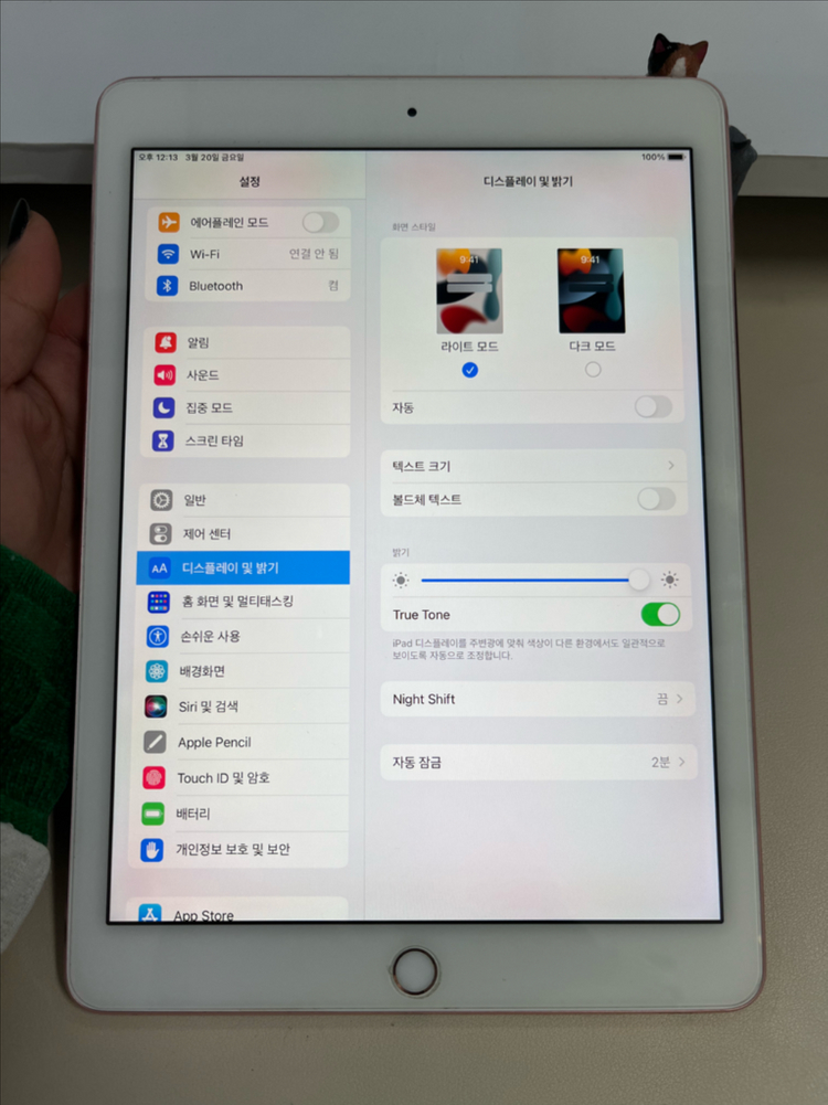 아이패드프로 9.7 32G 핑크 WIFI S급!--8