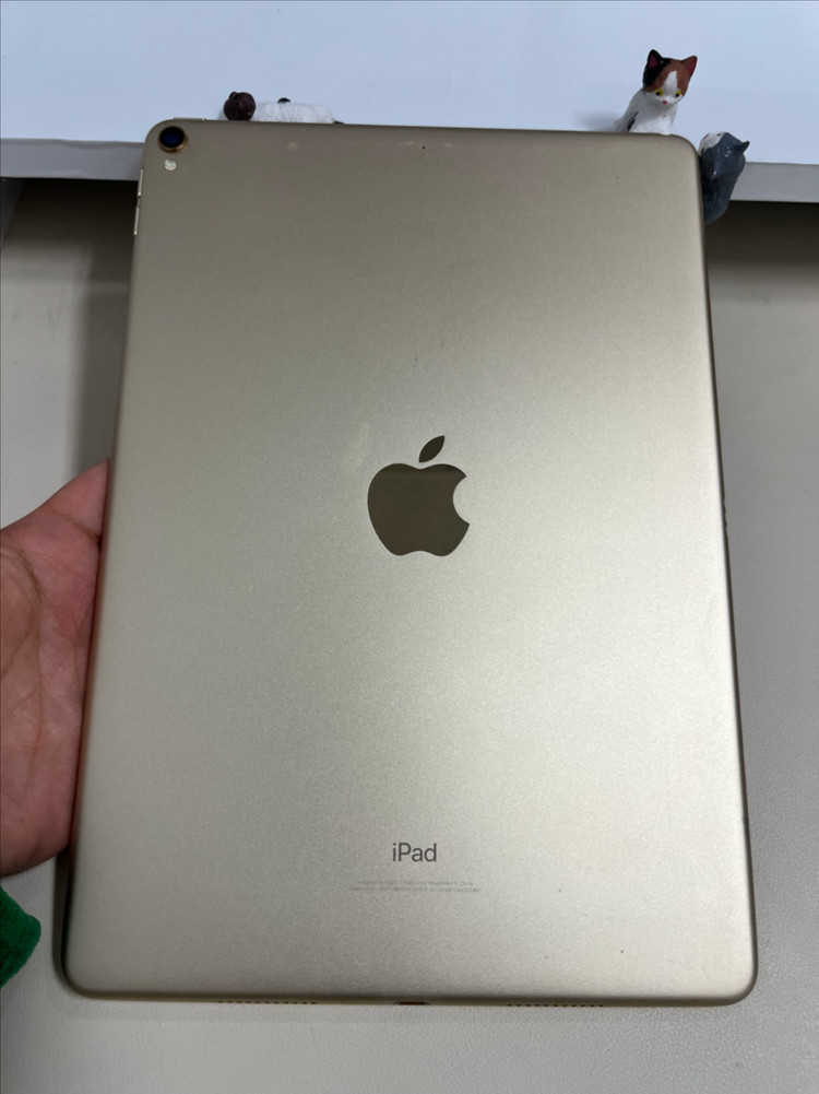 아이패드프로 10.5 64G 골드 A급!--1
