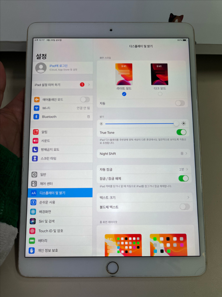 아이패드프로 10.5 64G 골드 A급!--8