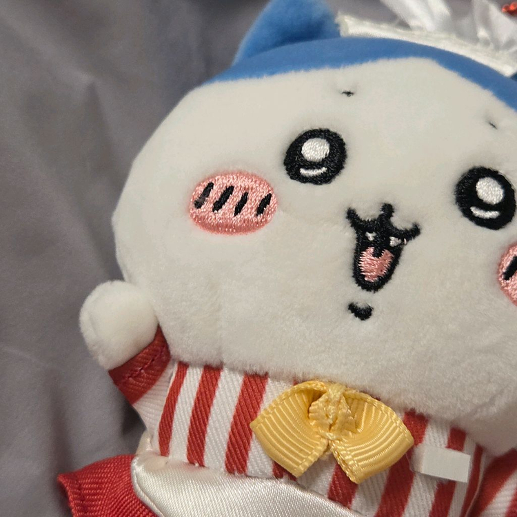 치이카와 우사기 하치와레 랏코 쿠리만쥬 카니 모몽가 인형 키링 이미지