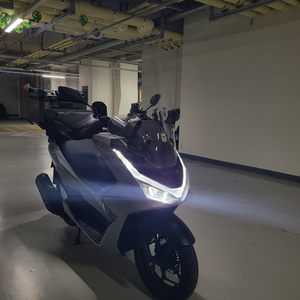 pcx 125 25년식
