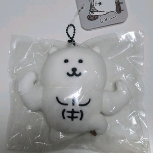 농담곰 근육곰 마스코트 인형 이미지