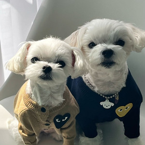 반려동물 니트 가디건 꼼데 이미지