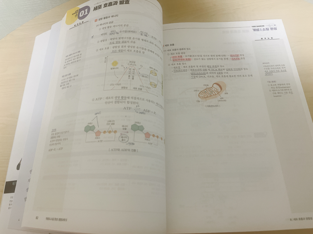 생명과학 2 개념 기출 서브노트--1