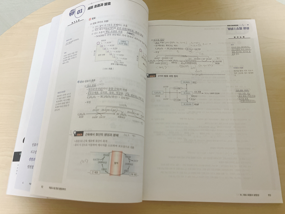 생명과학 2 개념 기출 서브노트--2