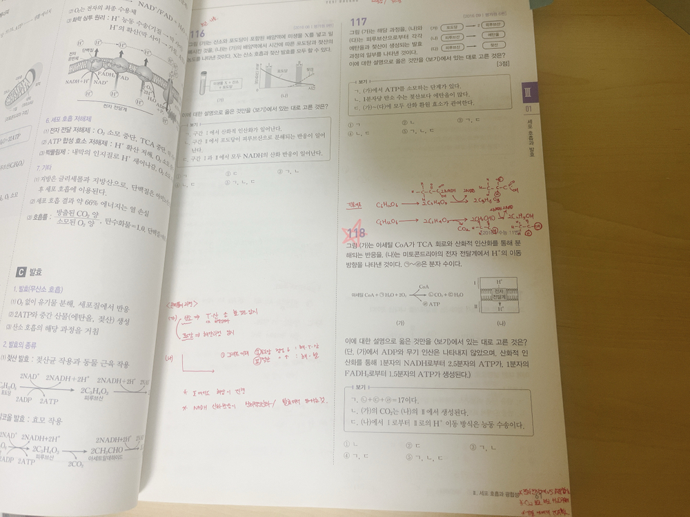 생명과학 2 개념 기출 서브노트--5