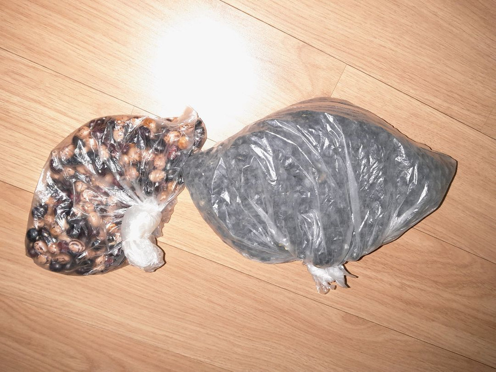 동물 사료용 곡물 이미지