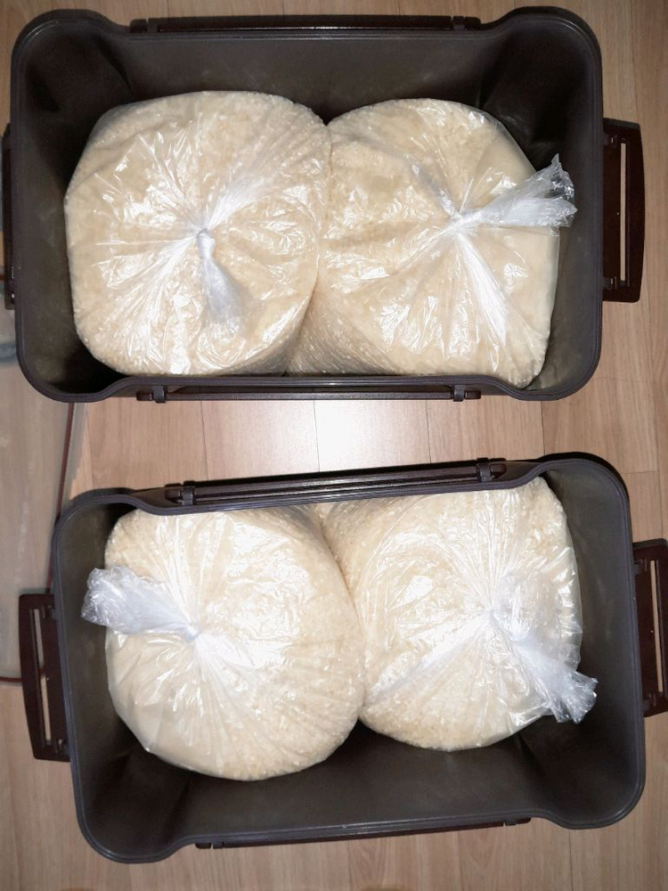 동물 사료용 곡물 이미지