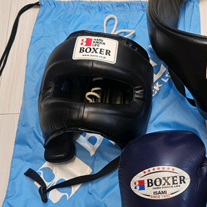 이사미 코보호 헤드기어 이미지